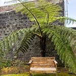Quo Boutique House Ferienhaus Furnas (Azores)