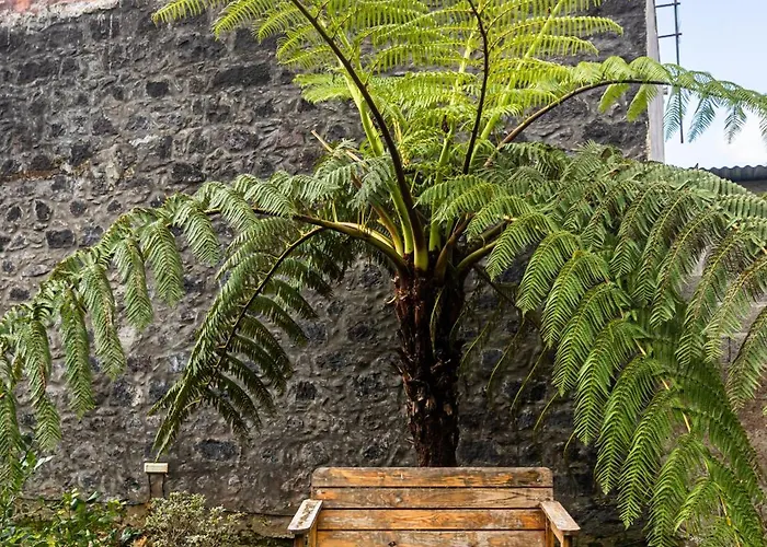 Quo Boutique House Holiday home Furnas (Azores)